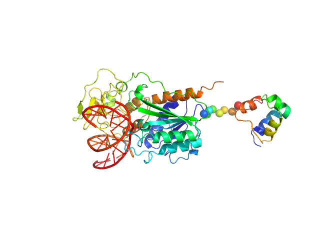 Modification methylase SsoII 12-bp DNA EOM/RANCH model