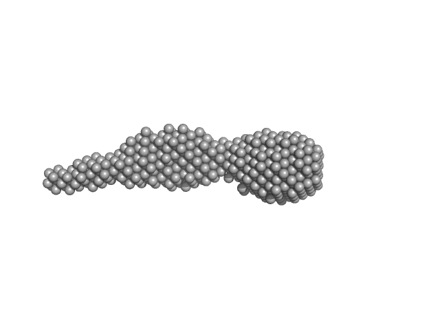 Ras-like protein 1 DAMMIF model