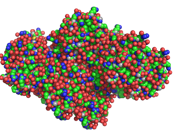 Lysozyme C PDB (PROTEIN DATA BANK) model