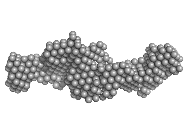 Nuclear fragile X mental retardation-interacting protein 2 DAMMIN model