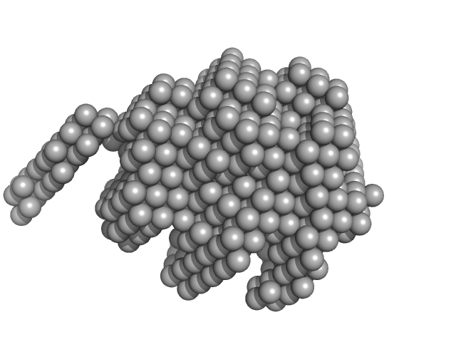 Diacylglycerol kinase alpha DAMMIF model