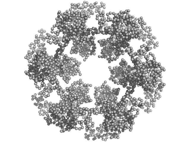 Kelch protein K13 GASBOR model