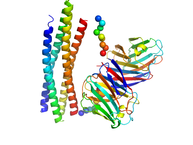 Lectin nano-block WA20-SL-ACG CORAL model