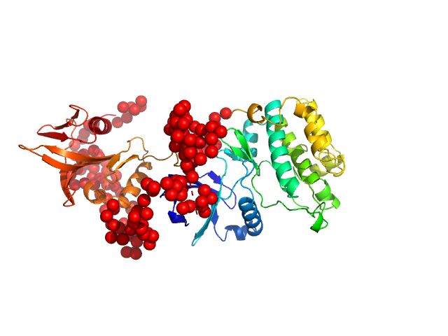 3-phosphoinositide-dependent protein kinase 1 EOM/RANCH model