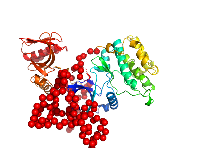 3-phosphoinositide-dependent protein kinase 1 EOM/RANCH model