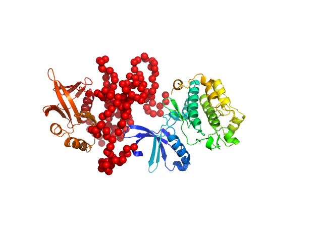 3-phosphoinositide-dependent protein kinase 1 EOM/RANCH model