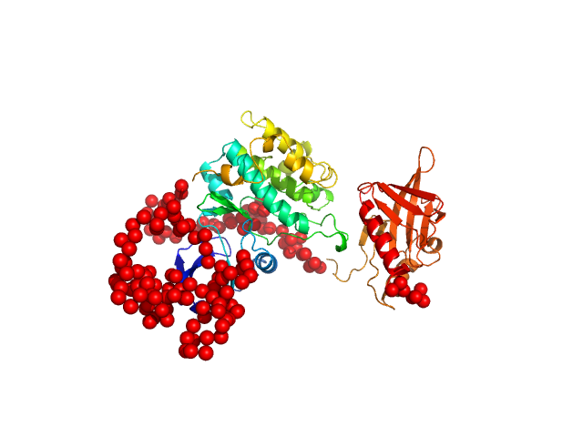 3-phosphoinositide-dependent protein kinase 1 EOM/RANCH model