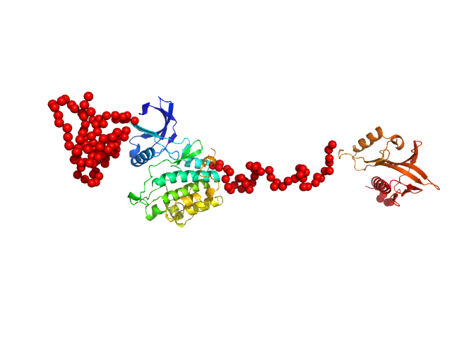 3-phosphoinositide-dependent protein kinase 1 EOM/RANCH model