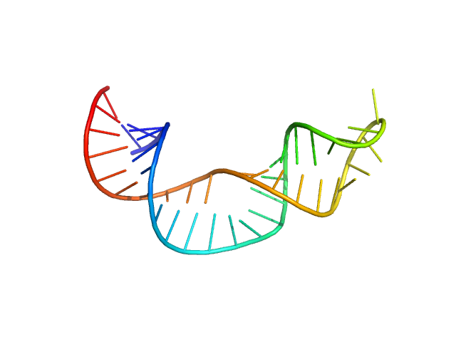 Non-pre-microRNA stem loop 2 PYMOL model