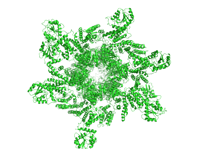 75% deuterated Circadian clock protein KaiB Circadian clock protein KaiA 75% deuterated Circadian clock protein kinase KaiC (S431D mutant) OTHER model