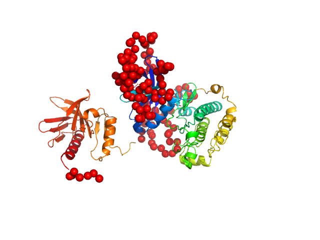 3-phosphoinositide-dependent protein kinase 1 2-O-benzoyl-Ins(1,3,4,5,6)P5 EOM/RANCH model