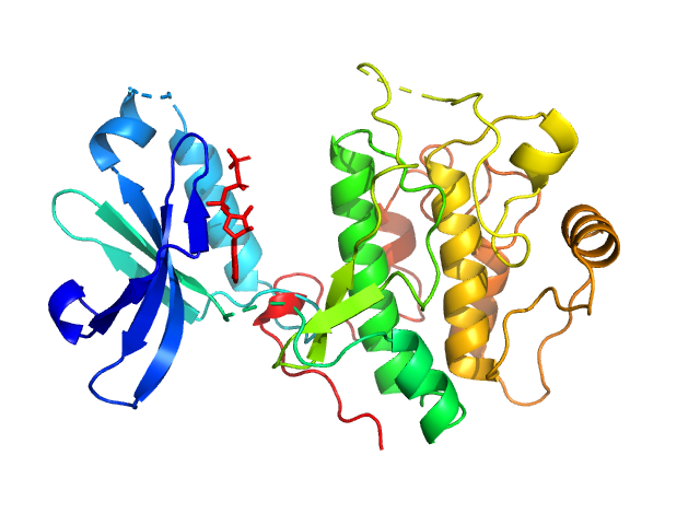 SREFLEX model