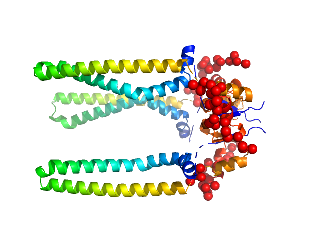 Skp-like protein EOM/RANCH model