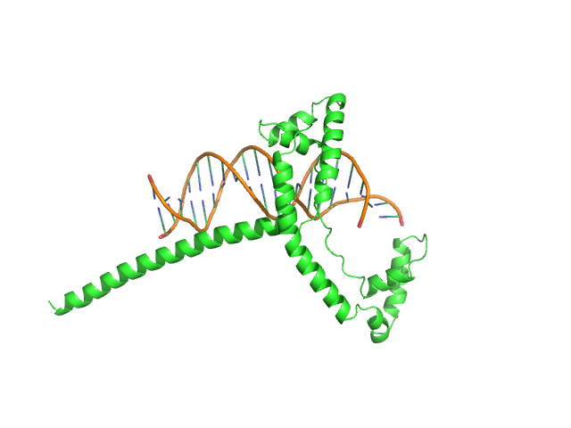 Af2_20 DNA Gcf1p(Δ58) OTHER model