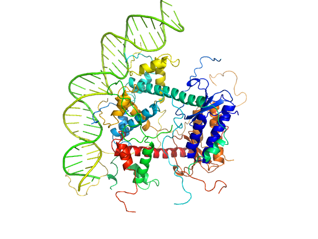 Antitoxin ParD Toxin 31-bp DNA operator box CUSTOM IN-HOUSE model