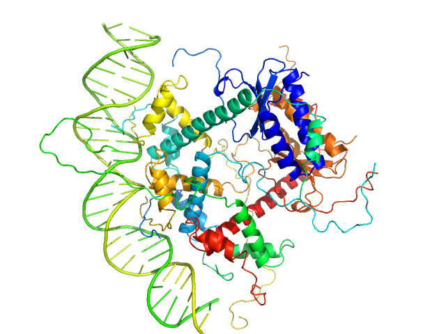 Antitoxin ParD Toxin 31-bp DNA operator box CUSTOM IN-HOUSE model