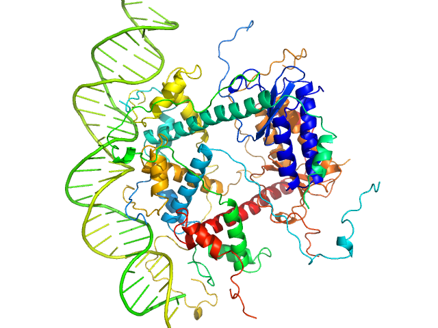 Antitoxin ParD Toxin 31-bp DNA operator box CUSTOM IN-HOUSE model