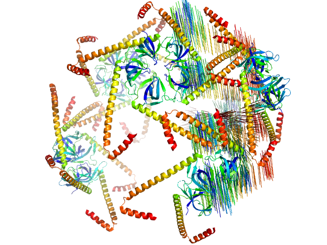 Fusion protein of LSm and MyoX-coil PDB (PROTEIN DATA BANK) model