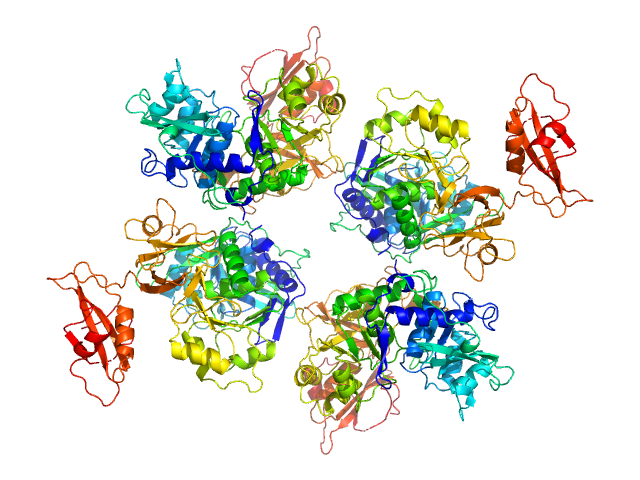 Oxalate--CoA ligase PYMOL model