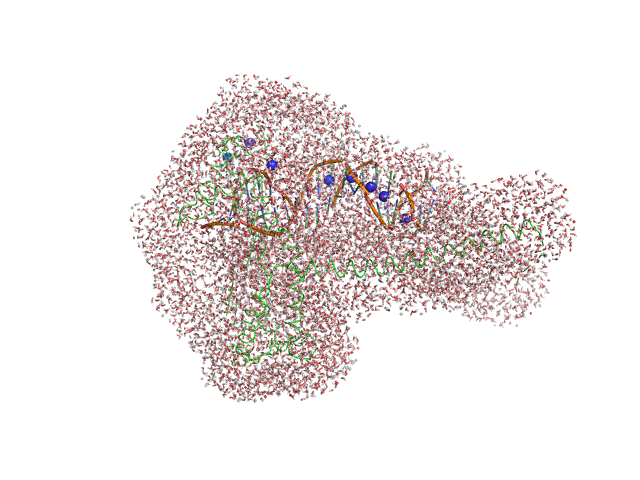 Gcf1p Af2_20 DNA WAXSIS model