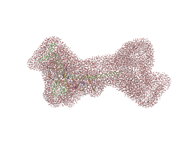 Gcf1p Af2_20 DNA WAXSIS model