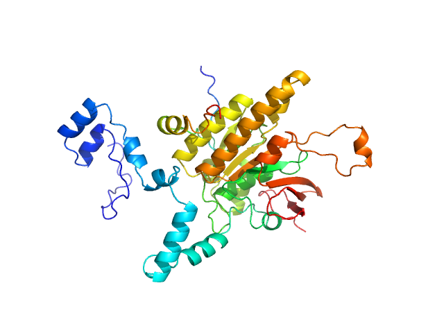 DNA repair protein RAD51 homolog 1 (F86E A89E) Breast cancer type 2 susceptibility protein MULTIFOXS model