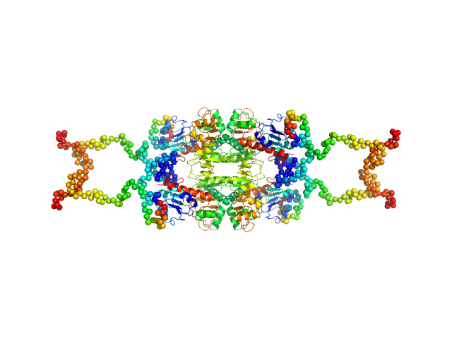 C-terminal-binding protein 1 CORAL model