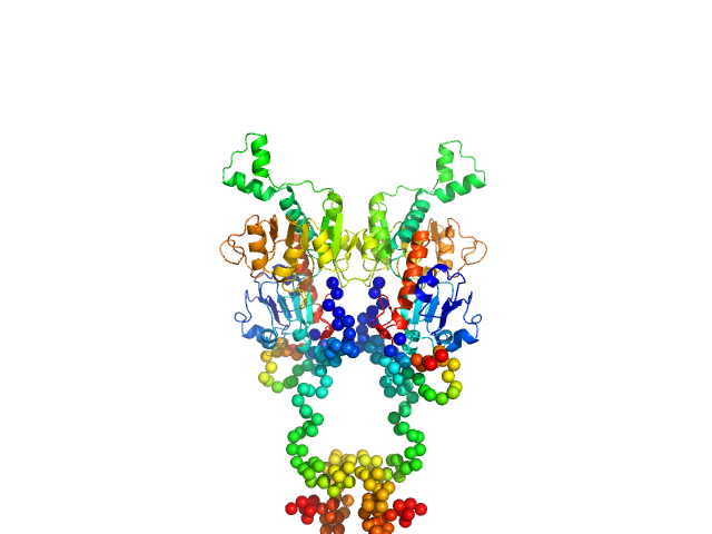 C-terminal-binding protein 1 (C134Y, N138R, R141E, L150W) CORAL model