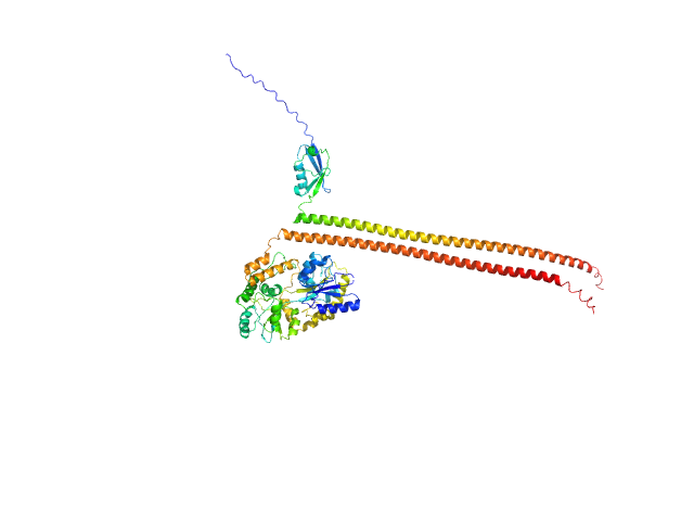 Septin-7 (C-terminal domain of SEPT7 fused to SUMO) Septin-10 (C-terminal domain of SEPT10 fused to MBP) MULTIFOXS model