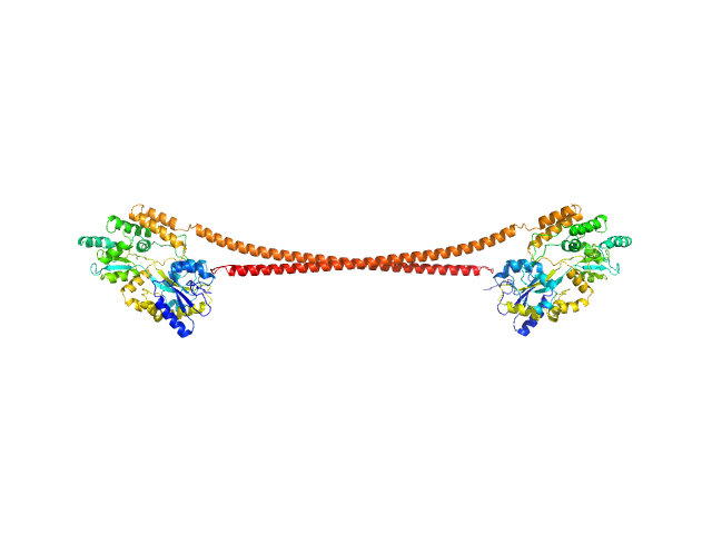 Septin-7 (C-terminal domain of SEPT7 fused to SUMO) Septin-10 (C-terminal domain of SEPT10 fused to MBP) CUSTOM IN-HOUSE model