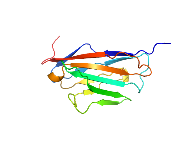 Myelin protein P0 ALPHAFOLD model