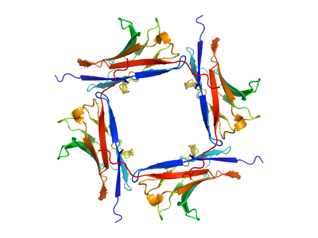 Myelin protein P0 ALPHAFOLD model