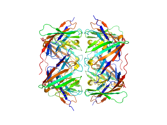 Myelin protein P0 ALPHAFOLD model