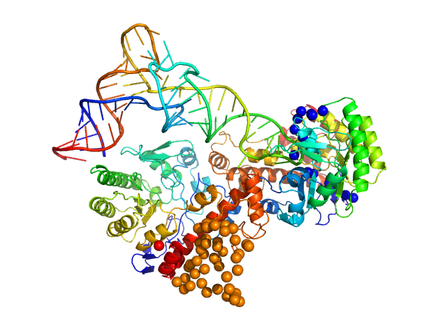 Queuine tRNA-ribosyltransferase catalytic subunit 1 Queuine tRNA-ribosyltransferase accessory subunit 2 transfer RNA (Aspartate) EOM/RANCH model