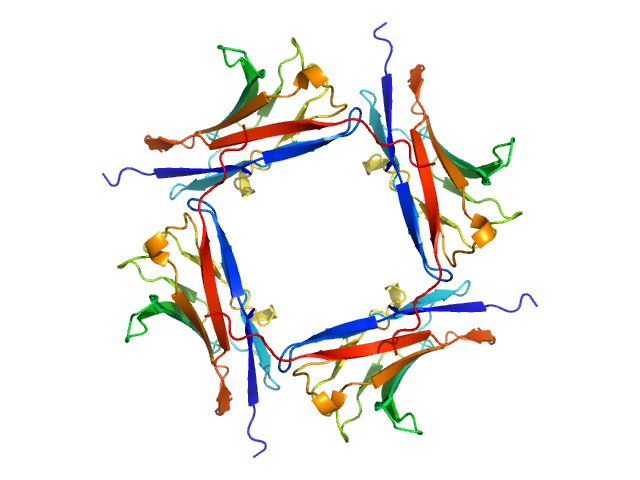 Myelin protein P0 (W53A, R74A, D75R) ALPHAFOLD model