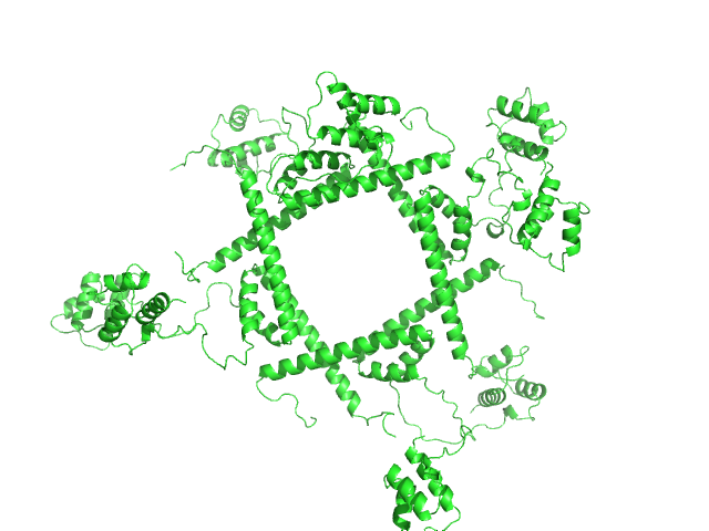 Phage repressor protein CI (C120S) OTHER model