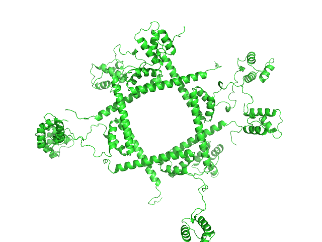 Phage repressor protein CI (C120S) OTHER model