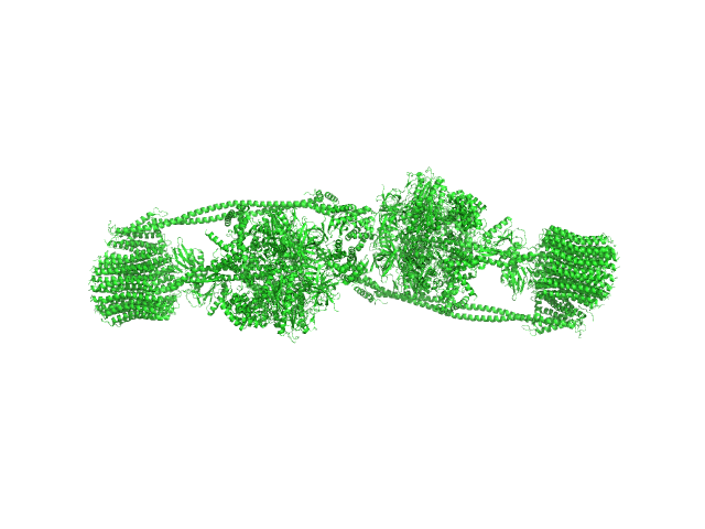 ATP synthase subunit alpha, chloroplastic ATP synthase subunit beta, chloroplastic ATP synthase gamma chain, chloroplastic ATP synthase delta chain, chloroplastic ATP synthase epsilon chain, chloroplastic ATP synthase subunit a, chloroplastic ATP synthase subunit b, chloroplastic ATP synthase subunit b', chloroplastic ATP synthase subunit c, chloroplastic 4-trans-(4-trans-Propylcyclohexyl)-cyclohexyl α-maltoside OTHER model