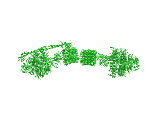 ATP synthase subunit alpha, chloroplastic ATP synthase subunit beta, chloroplastic ATP synthase gamma chain, chloroplastic ATP synthase delta chain, chloroplastic ATP synthase epsilon chain, chloroplastic ATP synthase subunit a, chloroplastic ATP synthase subunit b, chloroplastic ATP synthase subunit b', chloroplastic ATP synthase subunit c, chloroplastic 4-trans-(4-trans-Propylcyclohexyl)-cyclohexyl α-maltoside OTHER model