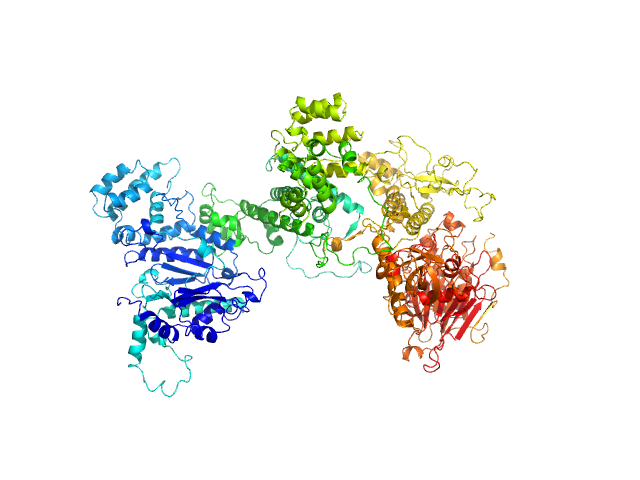 BILBOMD model