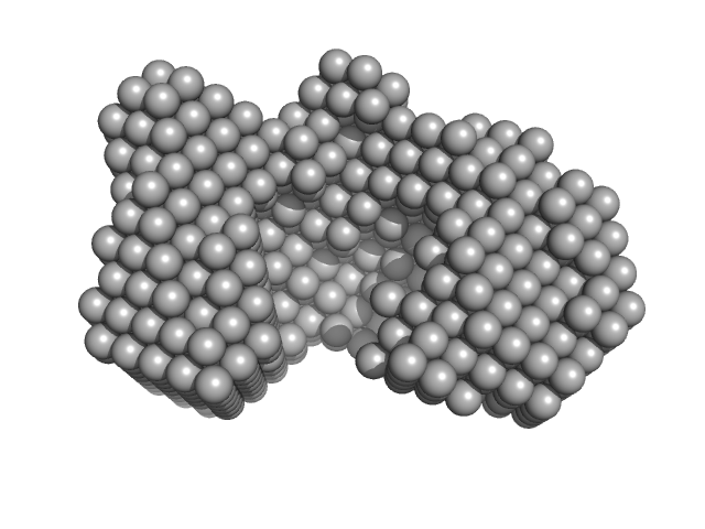 14-3-3 protein gamma DAMMIN model