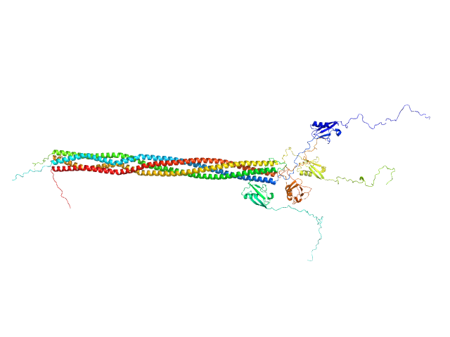 Protein PAIR1 OTHER model