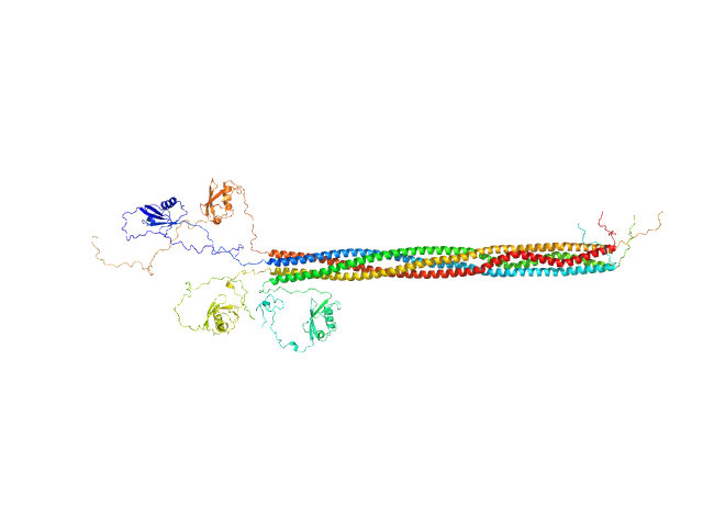 Protein PAIR1 OTHER model