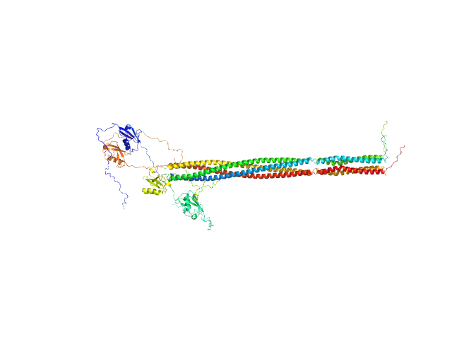 Putative recombination initiation defects 3 OTHER model