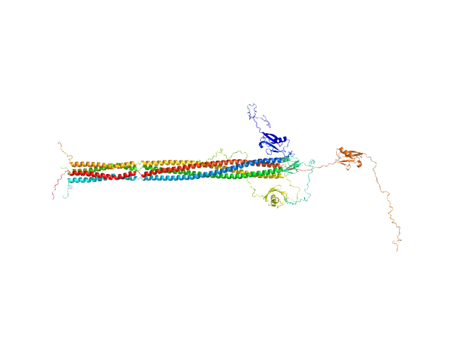 Putative recombination initiation defects 3 OTHER model