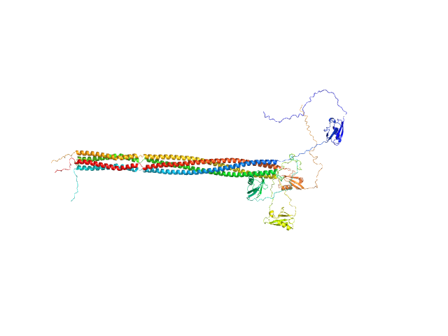 Putative recombination initiation defects 3 OTHER model