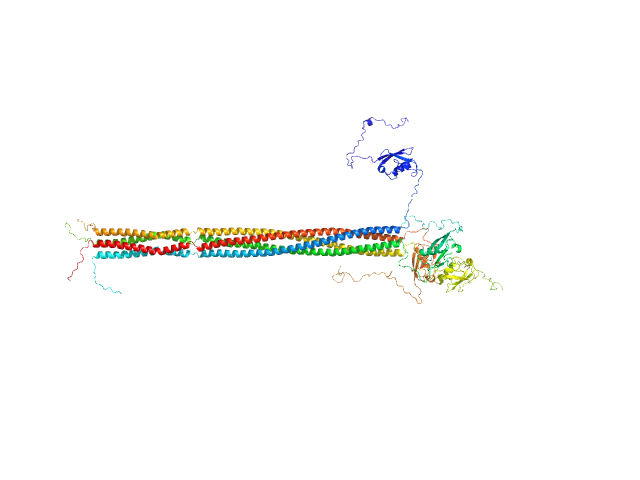 Putative recombination initiation defects 3 OTHER model