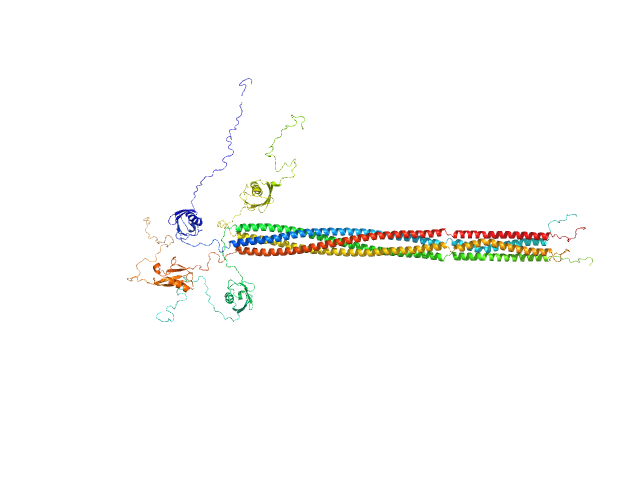 Putative recombination initiation defects 3 OTHER model