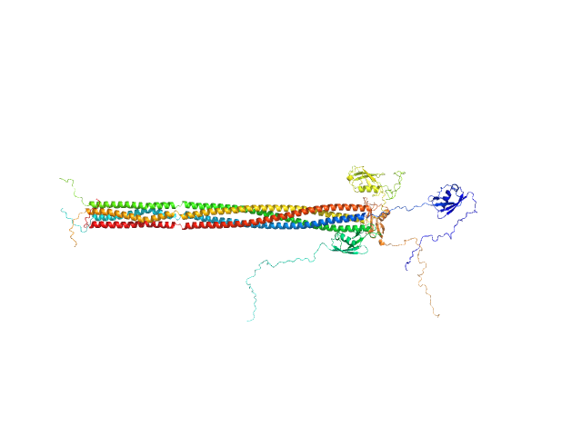 Putative recombination initiation defects 3 OTHER model