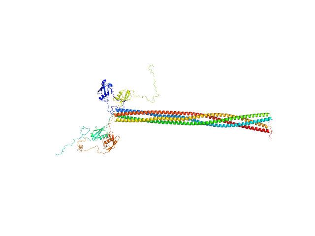 Meiotic recombination protein rec15 OTHER model